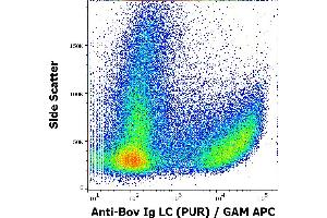 Flow cytometry surface staining pattern of bovine peripheral whole blood stained using anti-bovine Ig Light Chains (IVA285-1) purified antibody (concentration in sample 3 μg/mL, GAM APC). (Souris anti-Boeuf (Vache) Ig Light Chains Anticorps)