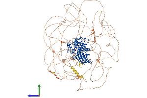 AlphaFold protein structure predicition of Mouse Recombinant Ttbk2 Protein, UniprotID Q3UVR3