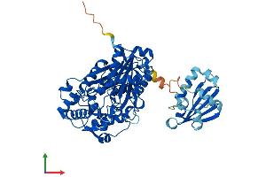AlphaFold protein structure predicition of Mouse Recombinant Scp2 Protein, UniprotID P32020