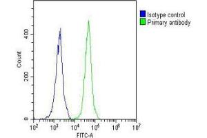 Overlay histogram showing Jurkat cells stained with (ABIN657245 and ABIN2846343) (green line).