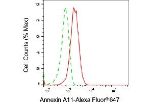 Flow cytometric analysis of Annexin A11 expression in HepG2 cells using Annexin A11 antibody (ABIN7797616), 1:2,000). (Annexin A11 anticorps)