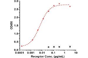 Immobilized Ma TREM2 His at 2 μg/mL can bind Anti-TREM2 Reference Antibody (Py314), EC50=0. (Recombinant TREM2 anticorps)