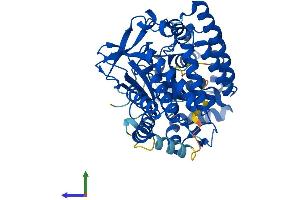 AlphaFold protein structure predicition of Human Recombinant SMYD1 Protein, UniprotID Q8NB12