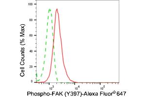 Flow cytometric analysis of phospho-FAK (Y397) expression in HepG2 cells using phospho-FAK (Y397) antibody (ABIN7800061), 1:2,000).