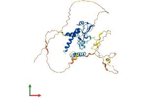 AlphaFold protein structure predicition of Mouse Recombinant Cdca7 Protein, UniprotID Q9D0M2