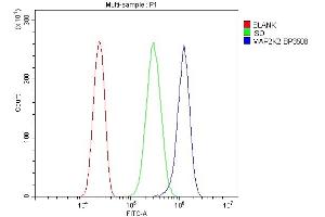 Flow Cytometry analysis of PC-3 cells using anti-MEK2/MAP2K2 antibody (ABIN7599357).