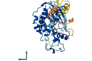 AlphaFold protein structure predicition of Mouse Recombinant Cdk2 Protein, UniprotID P97377