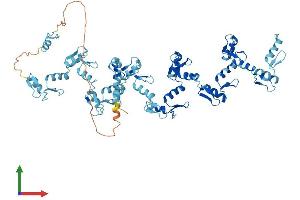 AlphaFold protein structure predicition of Human Recombinant ZNF709 Protein, UniprotID Q8N972