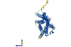 AlphaFold protein structure predicition of Mouse Recombinant Adora1 Protein, UniprotID Q60612