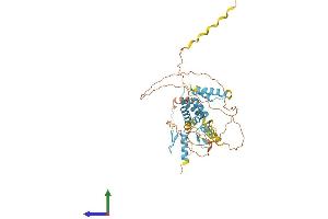 AlphaFold protein structure predicition of Human Recombinant ZSCAN1 Protein, UniprotID Q8NBB4
