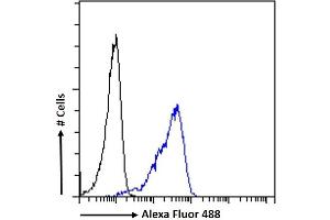 (ABIN571248) Flow cytometric analysis of paraformaldehyde fixed Jurkat cells (blue line), permeabilized with 0.