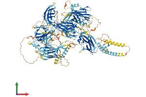 AlphaFold protein structure predicition of Human Recombinant NPHP4 Protein, UniprotID O75161