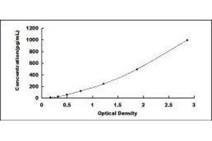 ELISA image for Lymphotoxin-alpha (LTA) ELISA Kit (ABIN415900)