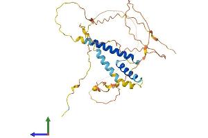 AlphaFold protein structure predicition of Human Recombinant SOHLH1 Protein, UniprotID Q5JUK2