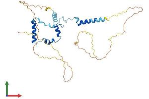 AlphaFold protein structure predicition of Mouse Recombinant Sap30bp Protein, UniprotID Q02614