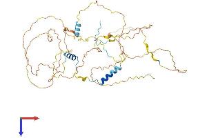 AlphaFold protein structure predicition of Mouse Recombinant Gpbp1l1 Protein, UniprotID Q6NZP2