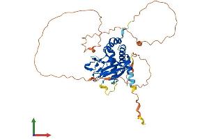AlphaFold protein structure predicition of Human Recombinant EGLN2 Protein, UniprotID Q96KS0