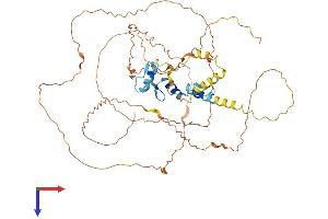 AlphaFold protein structure predicition of Human Recombinant EGR1 Protein, UniprotID P18146