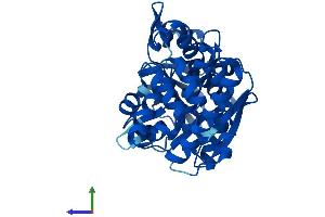 AlphaFold protein structure predicition of Mouse Recombinant Gpd1 Protein, UniprotID P13707