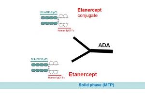 Image no. 2 for Etanercept Antibody ELISA Kit (ABIN2862659) (Etanercept Antibody Kit ELISA)