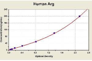 Arginase, Liver (ARG1) ELISA Kit