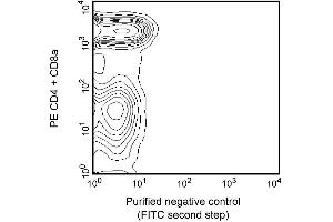 Two-color analysis of the expression of Vbeta 8 TCR on peripheral lymphocytes. (Vbeta 8 TCR anticorps)