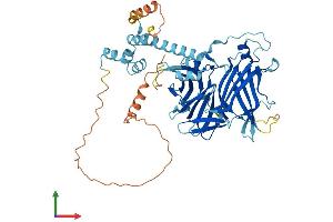 AlphaFold protein structure predicition of Human Recombinant FBXO15 Protein, UniprotID Q8NCQ5