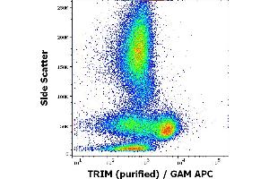 Flow cytometry intracellular staining pattern of human peripheral whole blood using anti-TRIM (TRIM-04) purified antibody (concentration in sample 1 μg/mL, GAM APC). (TRIM anticorps  (Intracellular))