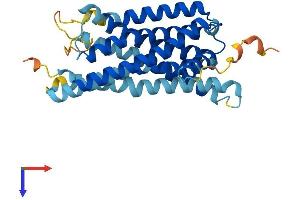 AlphaFold protein structure predicition of Human Recombinant GPR31 Protein, UniprotID O00270
