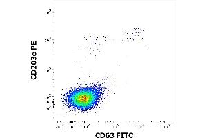 Flow cytometry dot-plot staining pattern of rBet v 7 recombinant allergen stimulated human peripheral whole blood lymphocytes and basophils of a proven allergic donor stained using anti-human CD63 (MEM-259) FITC and anti-human CD203c (NP4D6) PE antibodies . (Bet v 7 (Betula Verrucosa) Protéine)