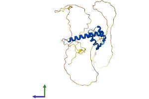 AlphaFold protein structure predicition of Human Recombinant HOXC12 Protein, UniprotID P31275