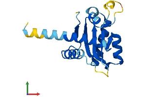 AlphaFold protein structure predicition of Mouse Recombinant Gadd45b Protein, UniprotID P22339