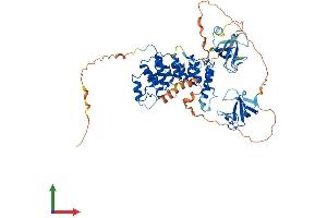 AlphaFold protein structure predicition of Mouse Recombinant Clip3 Protein, UniprotID B9EHT4