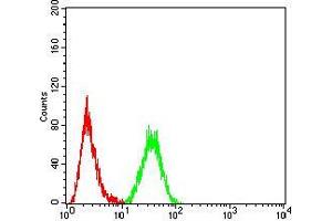 Flow cytometric analysis of Hela cells using HOXA9 mouse mAb (green) and negative control (red).