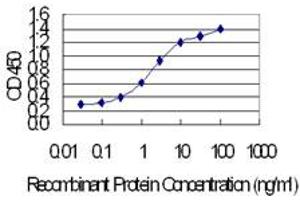 Detection limit for recombinant GST tagged PKP3 is 0. (Plakophilin 3 anticorps  (AA 225-324))