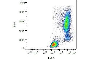 Intracellular staining of lysozyme in human peripheral blood with anti-lysozyme (LZ598-10G9) FITC.