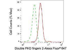 Flow cytometric analysis of Double PHD fingers 2 expression in HT- cells using Double PHD fingers 2 antibody (ABIN7800901), 1:2,000).