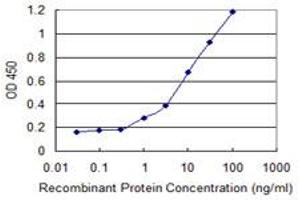 Detection limit for recombinant GST tagged ACTN4 is 0. (alpha Actinin 4 anticorps  (AA 592-701))