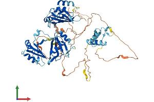 AlphaFold protein structure predicition of Mouse Recombinant A1cf Protein, UniprotID Q5YD48