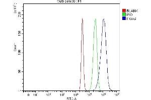 Flow Cytometry analysis of HepG2 cells using anti-ITGA6 antibody (ABIN6719411).