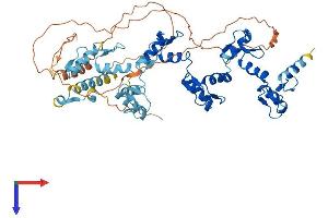 AlphaFold protein structure predicition of Human Recombinant ZNF587 Protein, UniprotID Q96SQ5