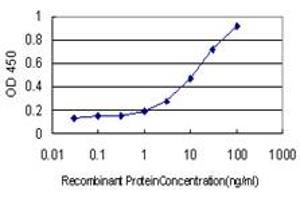 Detection limit for recombinant GST tagged TOP3B is approximately 1ng/ml as a capture antibody. (TOP3B anticorps  (AA 1-862))