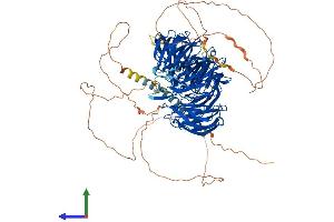 AlphaFold protein structure predicition of Mouse Recombinant Eml4 Protein, UniprotID Q3UMY5