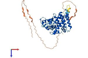 AlphaFold protein structure predicition of Mouse Recombinant Esrra Protein, UniprotID O08580