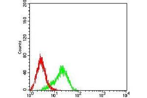 Flow cytometric analysis of K562 cells using BCL2L2 mouse mAb (green) and negative control (red).