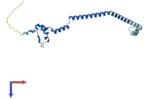 AlphaFold protein structure predicition of Human Recombinant GADD45GIP1 Protein, UniprotID Q8TAE8