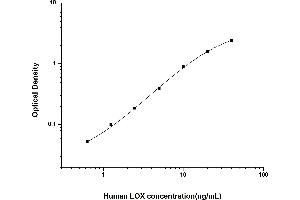 Typical standard curve (LOX Kit ELISA)
