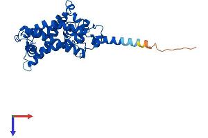 AlphaFold protein structure predicition of Mouse Recombinant Sc5d Protein, UniprotID O88822