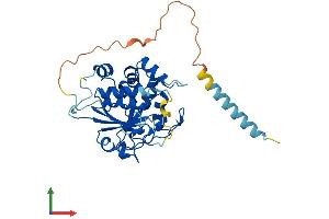 AlphaFold protein structure predicition of Mouse Recombinant St3gal2 Protein, UniprotID Q11204