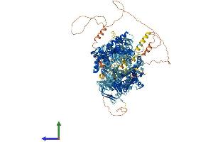 AlphaFold protein structure predicition of Human Recombinant CFTR Protein, UniprotID P13569